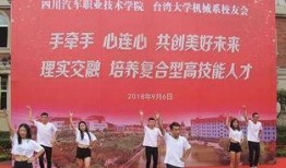 台湾大学校友爆料视频,揭秘校园爆料视频背后的真相