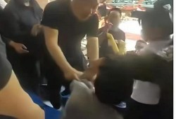 球迷网络爆料视频大全集,精彩瞬间与幕后故事一网打尽