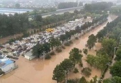 涿州洪水最新爆料新闻,救援行动紧张进行，受灾情况持续更新