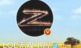 小智爆料55开视频,揭秘背后惊人内幕