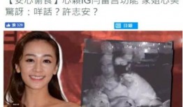 三姐爆料视频大全集,揭秘背后真相与精彩瞬间