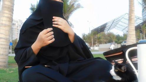 娱乐吃瓜君 道歉